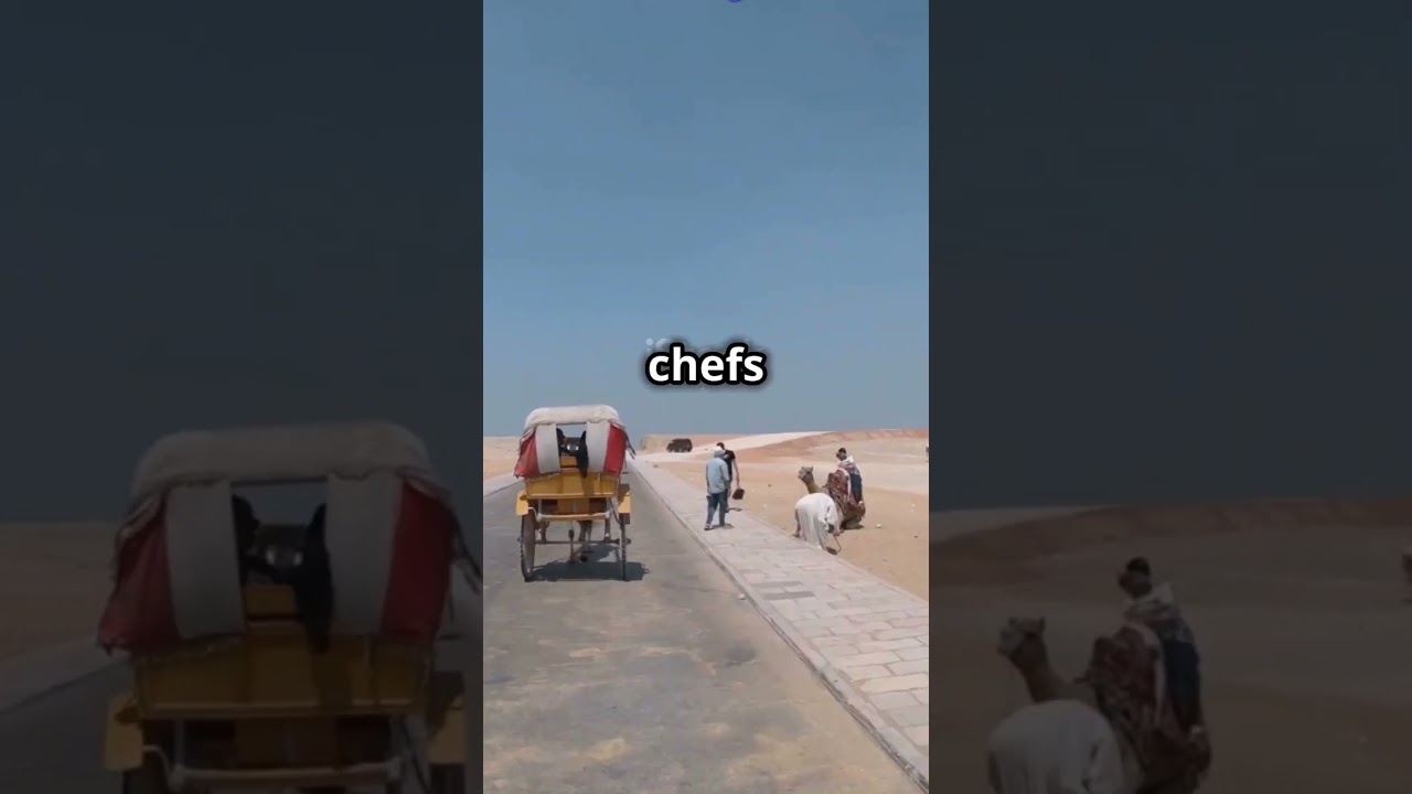 A Chefs journey Through Time