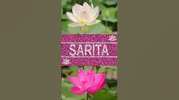 🌷 SARITA 🌷  | SARITA Lotus Status | SARITA - Peace
