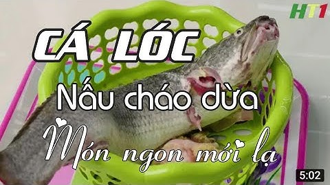Cá lóc đồng  nấu cháo dừa,ăn với rau đắng đất ngon nhức nhói/ Món ngon tự làm.