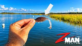 THIS Crab Imitation Lure Caught EVERYTHING In The Marsh!