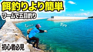 小物釣りのはずが解説中に大物がHITして竿がブチ曲がる！！【初心者】