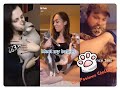 😽😽😽Cat Patience Challenges 🌈Funniest compilation--9 Nov. 2020