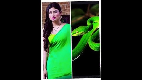 Nagin all characters and same snake🐍 #youtubeshorts#likeforlikes#comment#viral#pleasesubscribe🙏