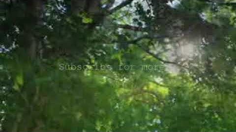 تلاوة خاشعة لسورة المطففين برواية حفص عن عاصم بصوت القارئ محمد قدي