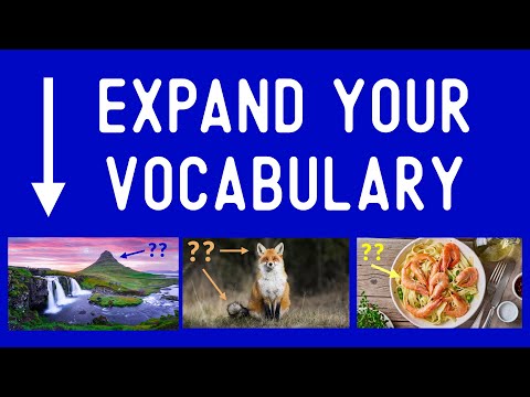 One Hour ENGLISH VOCABULARY BUILDER with PHOTO DESCRIPTIONS (Animals, Travel, Food)