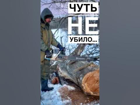 Не знаешь откуда прилетит!!! #обзор #бензопила #пила #тест #зимани # ...