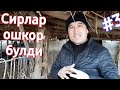 КУЙ БОКИШ СИРЛАРИ. АЙТИЛМАГАН СИР 3- КИСИМ