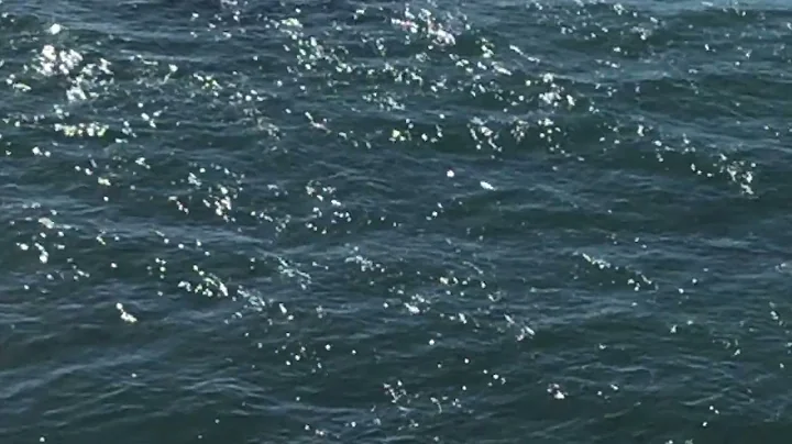 Bay Ledges - Road Trip Mix (Official Visualizer)