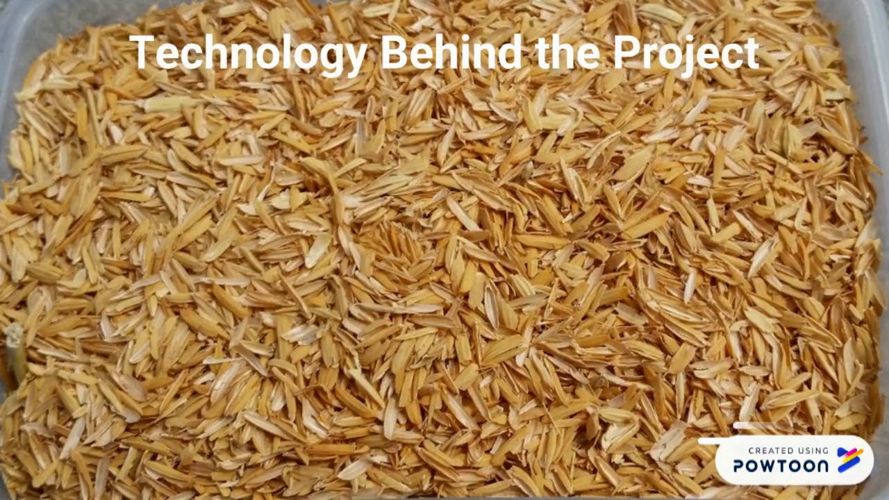 Design and Development of Pallet by using rice.pptx - YouTube