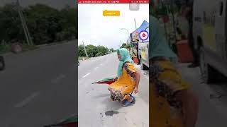 4 Dara Version Mia Bigomemang Terbaik La Kamu Aiyademi Mencari Sesuap Nasi Katanya ..