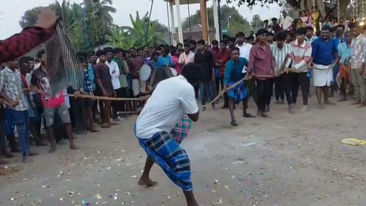 மாடு ஆட்டம் | தமிழ் பாரம்பரிய நாட்டுப்புற நடனம்...#trending  ...#villagelifestyle 