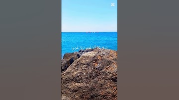 آلقرآن الكريم (الآية30 من سورة فصلت) ﴿ إِنَّ الَّذِينَ قَالُوا رَبُّنَا اللَّهُ ثُمَّ اسْتَقَامُوا