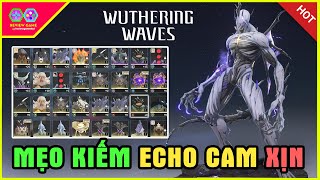 Wuthering Waves - Đây Là Mẹo Kiếm Echo Cam Khủng & Cách Up Level Data Bank Cực Dễ, Toàn Cảnh Echo screenshot 2