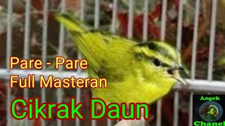 Suara Burung Cikrak Daun