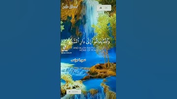 🌿والله يدعوا إلى دار السلام ويهدي من يشاء إلى صراط مستقيم 🌿 القارئ عمرو العقاد --  سورة يونس🌹