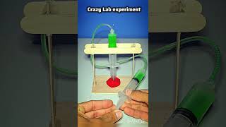 science project for class 9th students very easy project for students