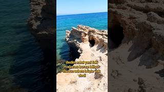 Sen Daha Önce Fok Mağarası Görmüş Müydün?