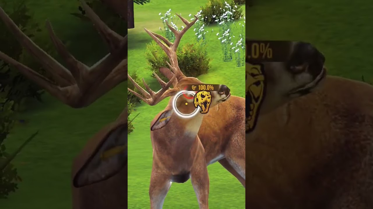 Hunting Battle PvP Online