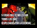 5 cosas que te molestan todos los dias explicadas por la ciencia