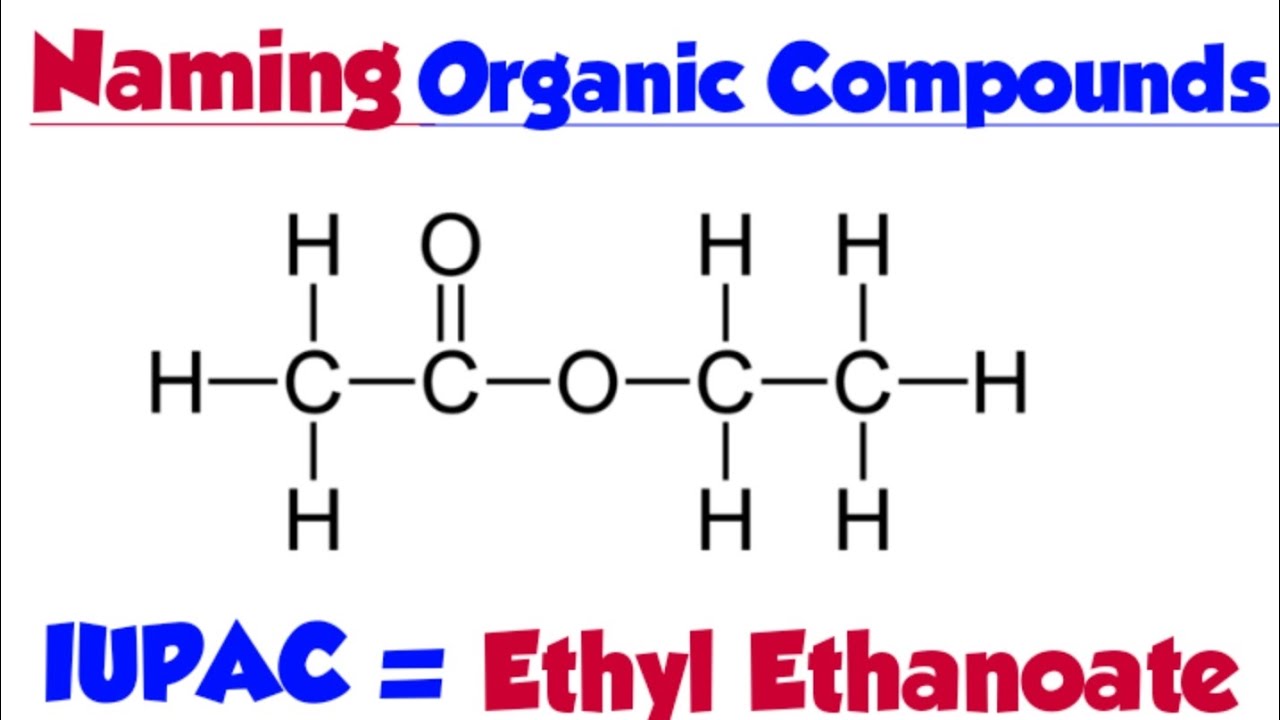 Naming Organic Compounds Grade 12 Organic Chemistry YouTube naming-organic-compounds-grade-12-organic-chemistry-youtube