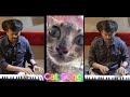 Urvasi urvasi remix ft cat  anoop kovalam  remix 