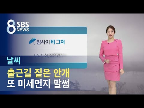 비 그치고 출근길 짙은 안개…또 미세먼지 말썽 / SBS