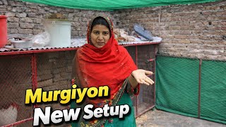 Mama Ne Kachi Kaleji Kha Li? Murgiyon Ka Vip Setup