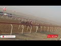 ش 17 سمحه لـ سلطان سعيد بن قطامي العامري 2 16 شارة الصندوق 2026 05 09 فطامين الجبيب 