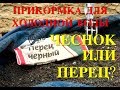 Прикормка для холодной воды. Чеснок или ПЕРЕЦ?