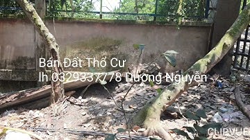 Nhà Đất Bán Đất Thổ Cư Giá 38tr 1m Ngang Cái Bè Tiền Giang