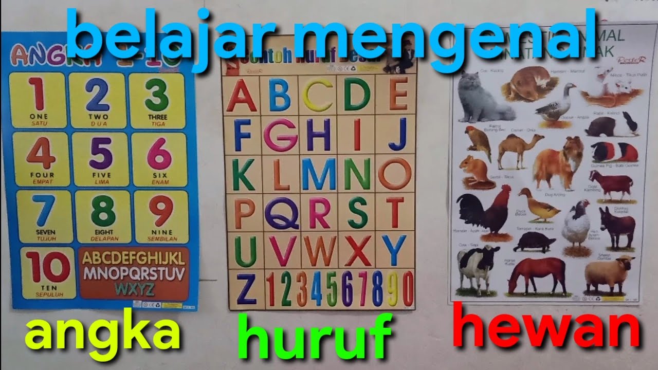 belajar mengenal angka huruf  dan hewan  untuk anak YouTube