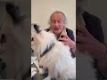 La dermatite atopique canine ou atopie chez le chien par le dr vtrinaire thierry bedossa