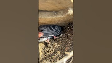 Cute face, dangerous thoughts. 💭😏