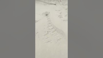 Làm sạch bãi biển với máy sàng cát bãi biển siêu nhanh