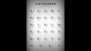 Vietnamese Alphabet (Northern Accent) #shorts #pronunciation #alphabet #language #vietnamese #yt Wealth