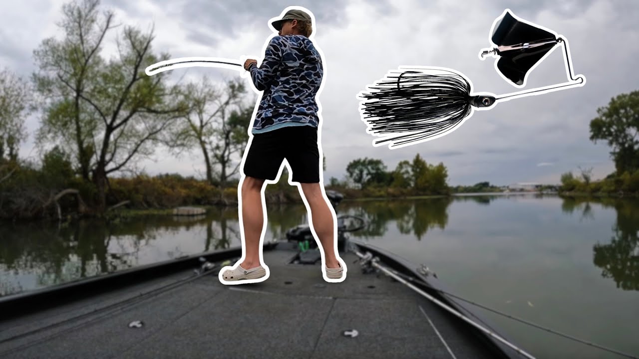 They're Crushing the Buzzbait (Fall Bass Fishing)