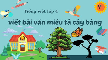 Bài văn miêu tả cây bàng - Tiếng việt lớp 4