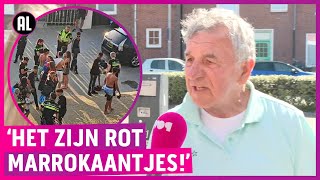 Bontkraagjes terroriseren Zandvoort; vrouwen doodsbang!