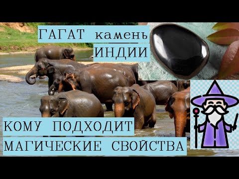 Гагат камень магические свойства #izkamnei Камни талисманы камни амулеты Натуральные камни