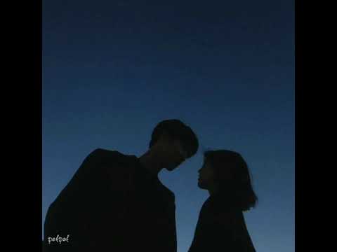 صيف شتا الضبع