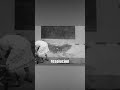 El Chimpancé Humano #curiosidades   #misterio