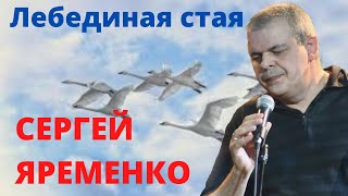 Песня Лебединая стая\ Песня Лебединая стая\
