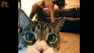 Приколы с Котами ✅ Лучшая Подборка Приколы с Животными 2018 Приколы с Котами ✅ Лучшая Подборка Приколы с Животными 2018