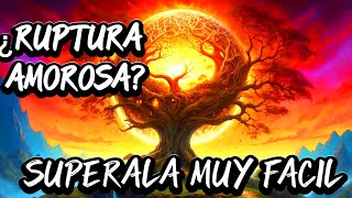 Ruptura de pareja: Cómo superarla en 3 pasos. Desarrollo personal para sanar emocionalmente!