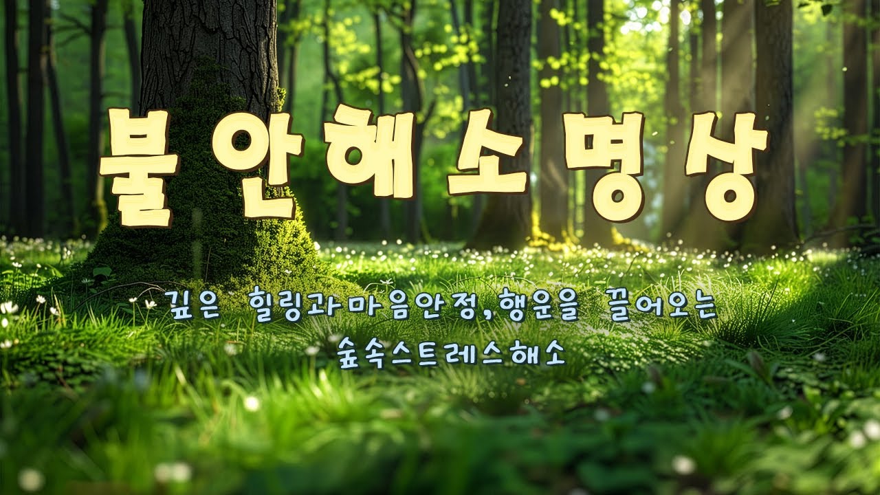 불안 해소를 돕는 편안한 명상 음악 🎵 깊은 힐링과 마음 안정, 행운을 끌어오는, 숲 속 스트레스 해소, 깊은 수면, 커피, 학습