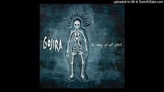 Gojira - Esoteric Surgery |Hidden backwards|