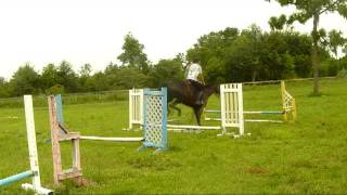 Trotting Telly over Fences