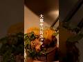 お家居酒屋。大葉サバ缶ユッケ。【飯の失敗は許されていない。】