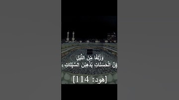 #القرآن_الكريم #القرآن #سورة_هود #quran