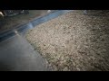 Looking at another leaf cleanup estimate